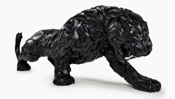 Black Panther, 2023 Iwi Lahcen