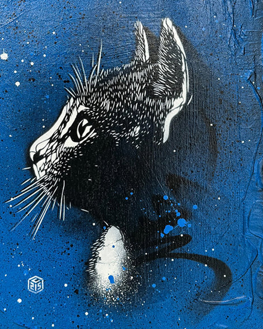 C215