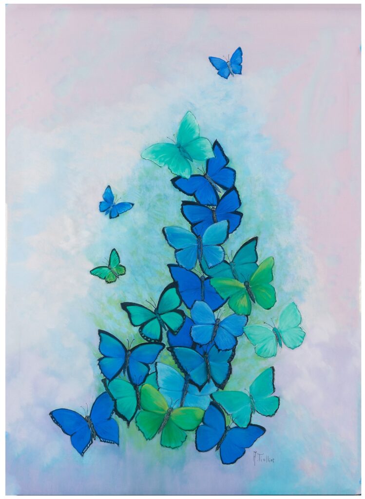 Nuage papillons by Agnès Tiollier