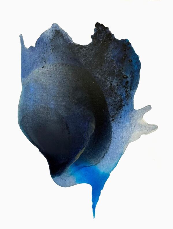 The Depth of the Ocean by Clara Berta