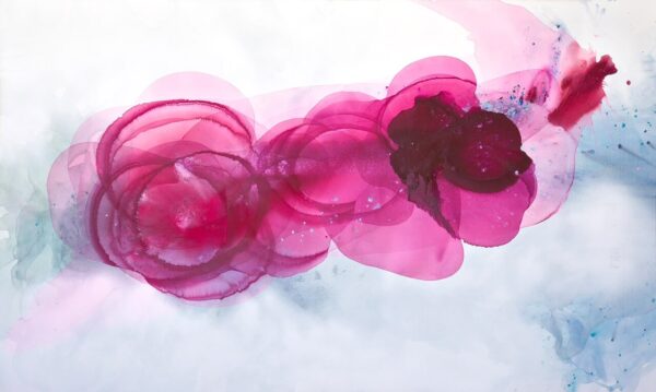 Circle of life by Clara Berta