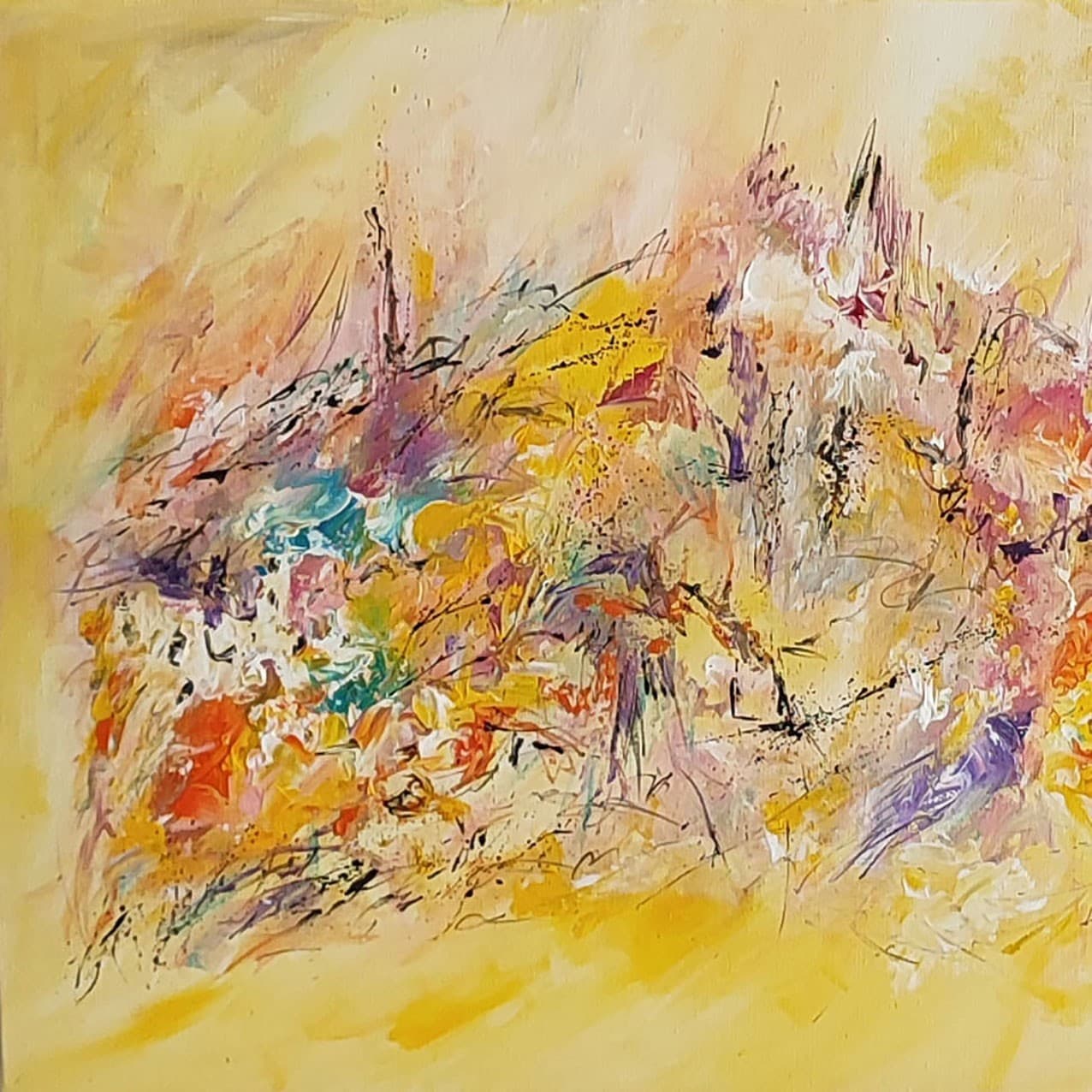 Couleurs et lumières - Âme Sauvage