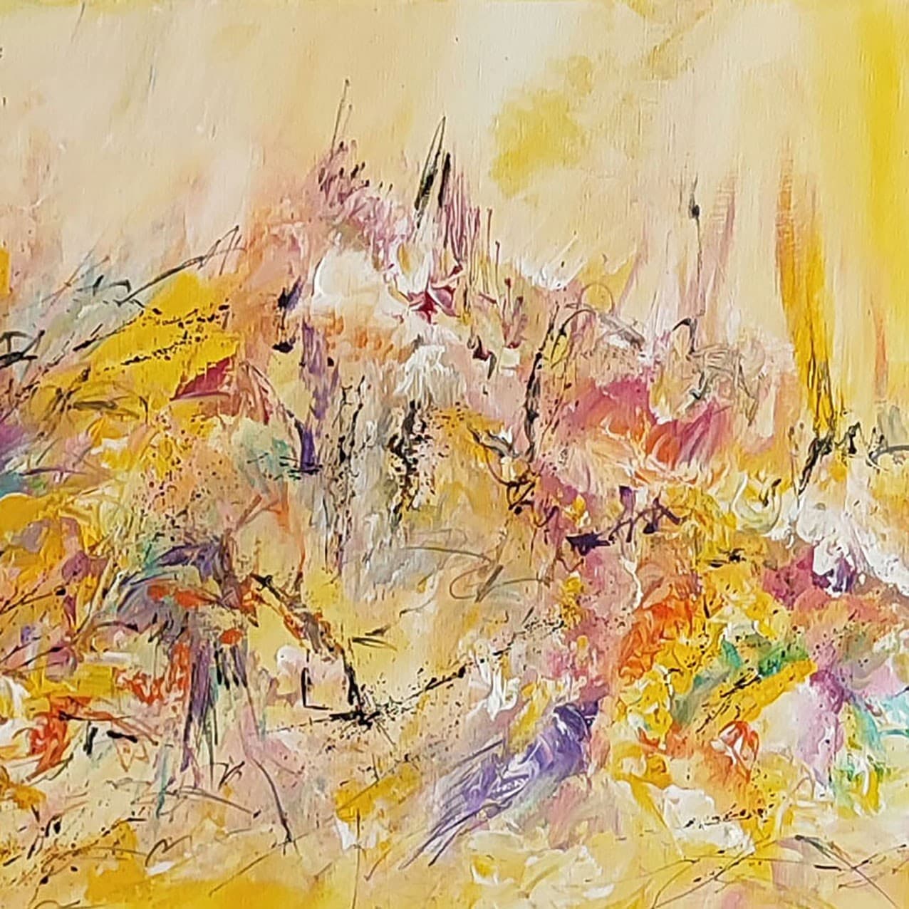 Couleurs et lumières - Âme Sauvage