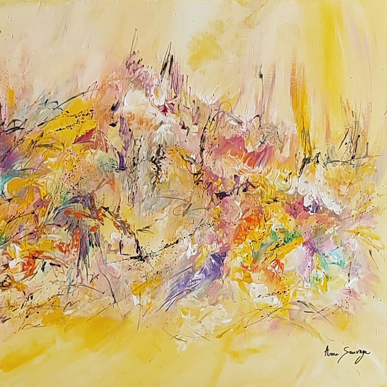 Couleurs et lumières - Âme Sauvage
