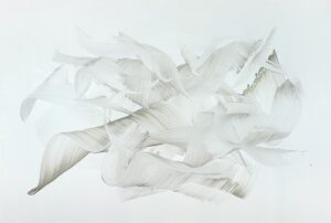 Subtle Elegance - Nikolaos Schizas