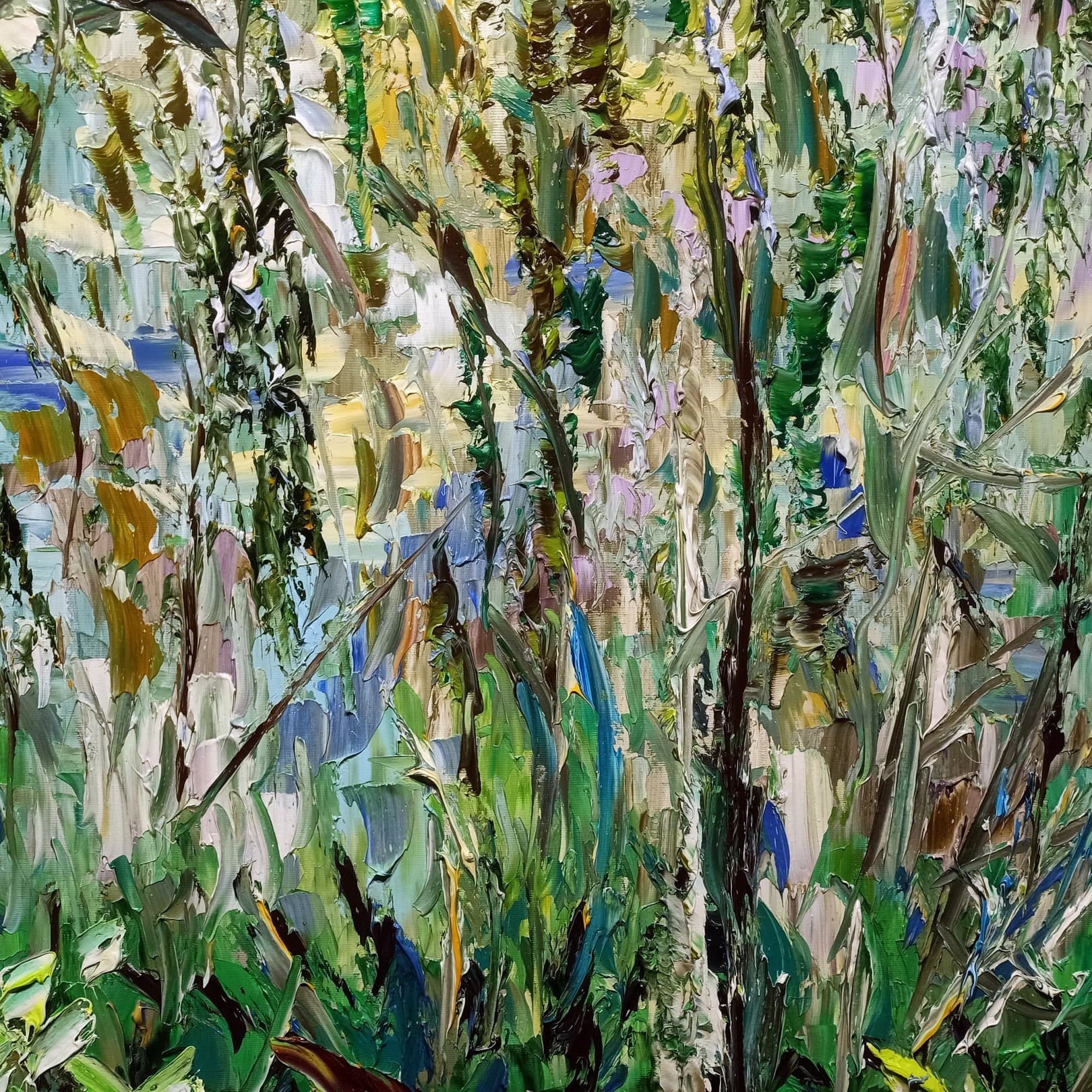 Felci e silenzi - Antonino Puliafico