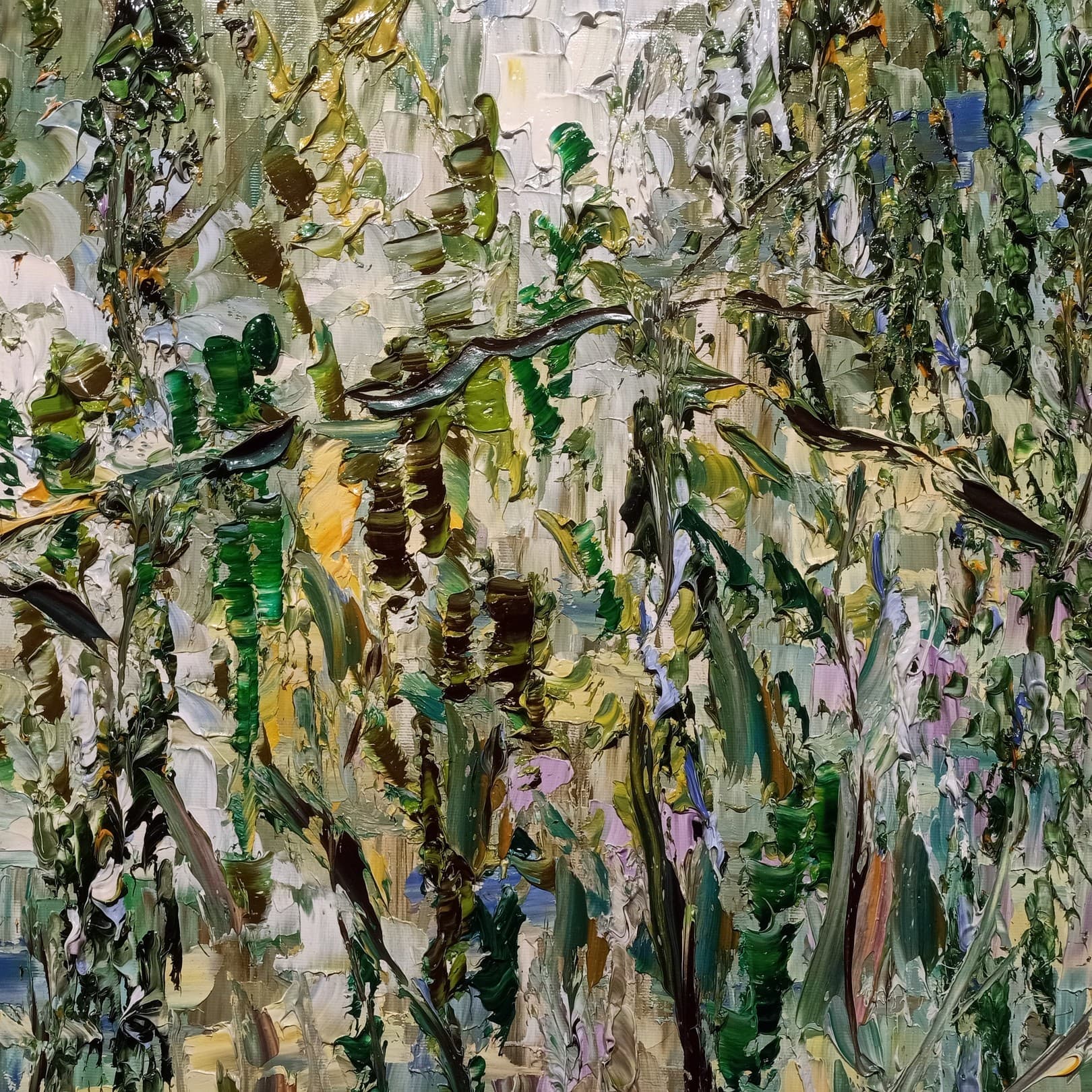 Felci e silenzi - Antonino Puliafico